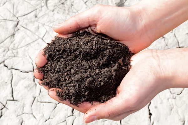 Topsoil Kamloops
