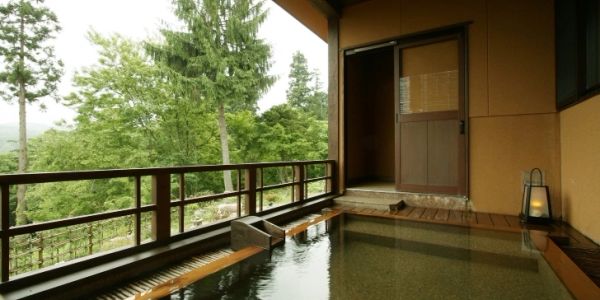 A serene outdoor hot spring bath with wooden railings surrounded by lush green trees.