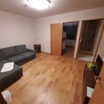 Minimalist living room with wooden floor and gray sofa.