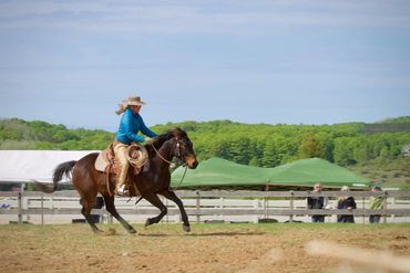cow working clinic horsemanship lessons group lessons