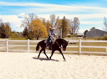 horsemanship horse training