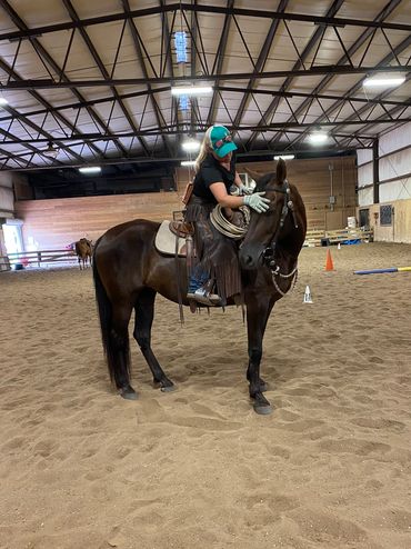 Colt starting horsemanship trainer
