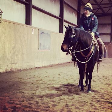 cow working flag work horsemanship horse trainer