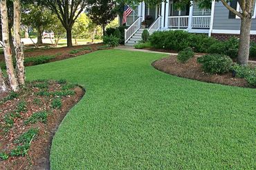 Healthy green front lawn with curved mulch beds maintained by Evergreen Turf Care.