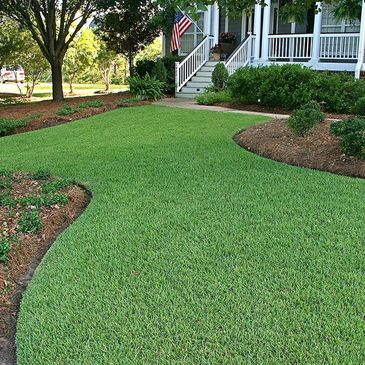 Healthy green lawn maintained by Evergreen Turf Care in Land O’ Lakes.