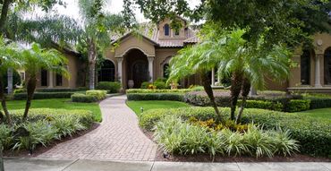 Florida home with palms, trimmed hedges, and a manicured lawn maintained by Evergreen Turf Care.