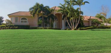 Large Florida home with a healthy, evenly maintained green lawn by Evergreen Turf Care.