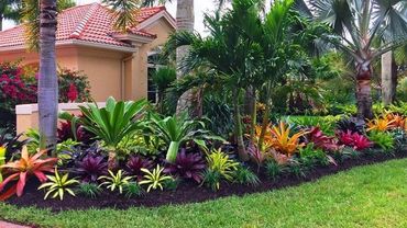 Tropical Florida landscape bed and green lawn maintained by Evergreen Turf Care.