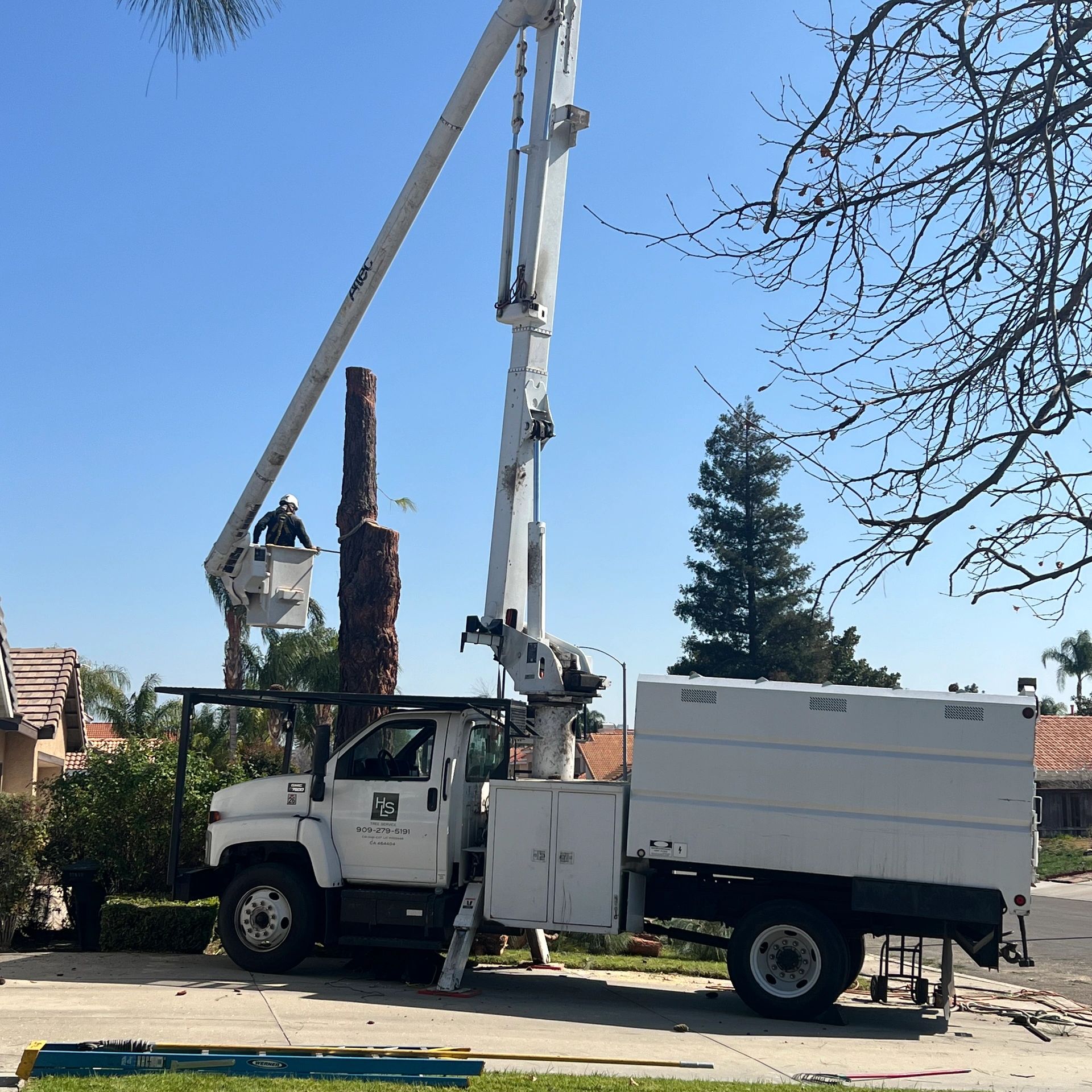 Worker in bucket truck trimming a large tree trunk on a sunny day.