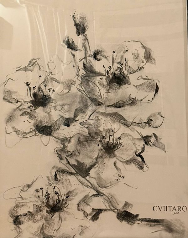 "Cherry Blossoms, II" 2025
Charcoal on Newsprint
SOLD