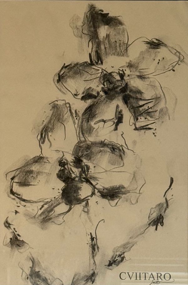 "Orchid, I" 2025
Materials: Charcoal on Newsprint
Available