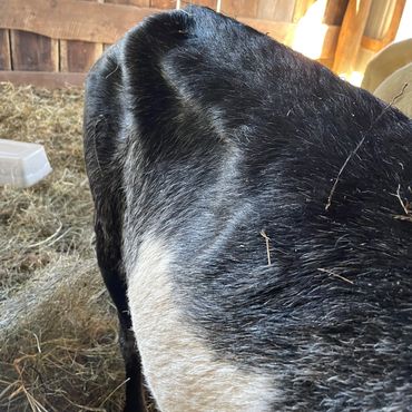 Poor girl was hungry!