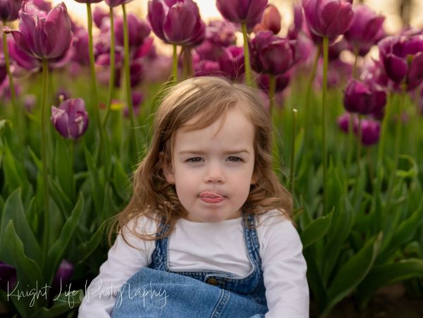Toddler girl sticking out her tongue among purple tulips.