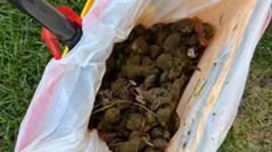 Full pooper scooper!