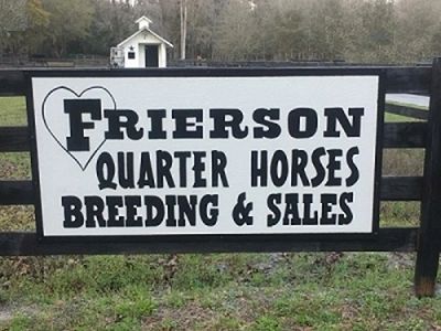 Frierson Quarter Horses