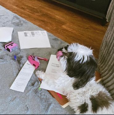 My little helper