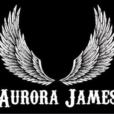 Alternative Jams! Indie Singer Songwriter. Guitars, Drums, Bass, Piano, Harmonica. We got it.