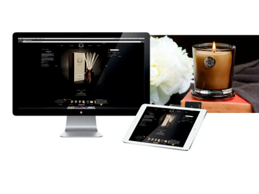 Website development.