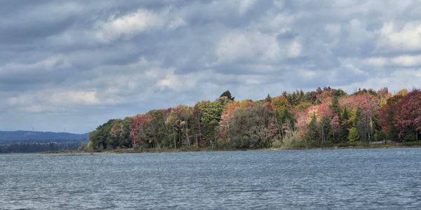 Canadian Lake with fall colors - taken by Tanya Blehm