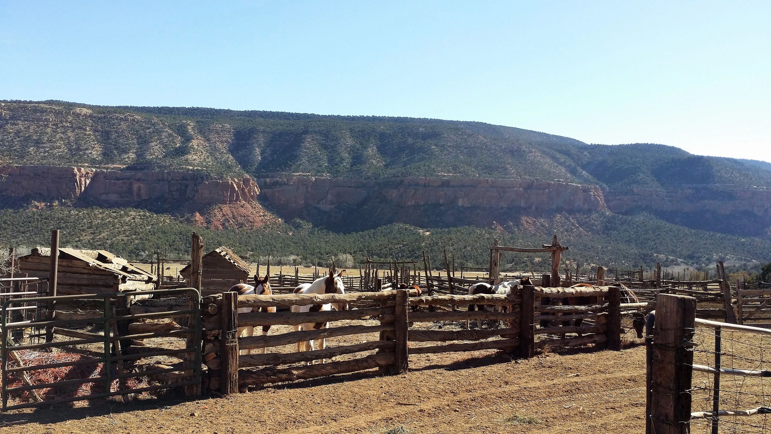 FAQ's Escalante Ranch