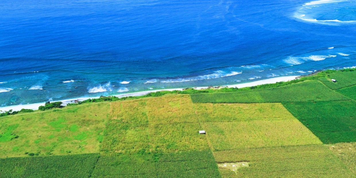 Aerial view of coastal farmland with ocean waves.