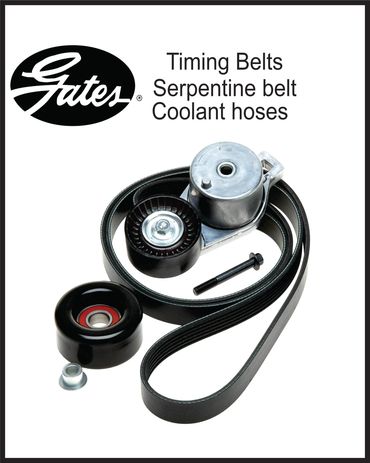 Serpentine Belts  Timing Belts
