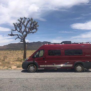 Helen exploring Joshua Tree National Park