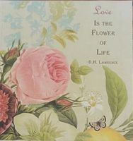 Willow Garden Studio