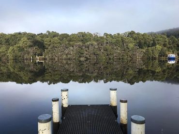 Reflection on calmness with Wajan Hale counsellor and embodiment coach.