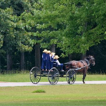 AMISH FAMILY TRAVELING BY HORSE BUGGY
