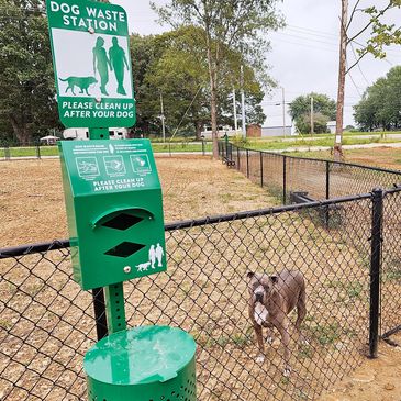 Gray dog inside a fenced dog playpen