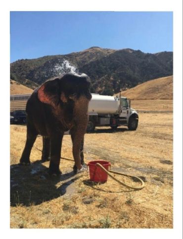 Agua Dulce Watertrucks and Towing