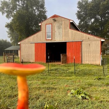 Emerald Mushroom Farm in West Point, Virginia