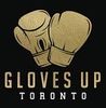 gloves up, toronto, charity, boxing, 911 boxing, fight night, nanton, andrew nanton, glovesup.ca