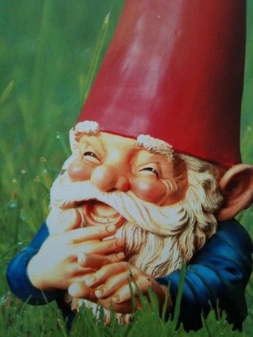 Gnome laughing