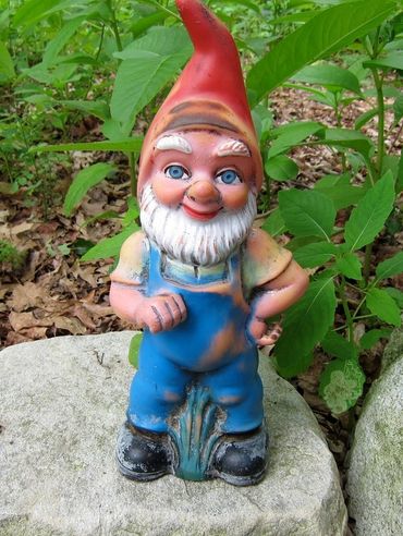 Young gnome fairy