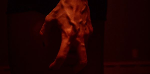 Strength in its rawest form, veins alive under red light, every tendon awake.