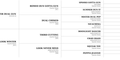 A detailed horse pedigree chart showing lineage and birth years.
