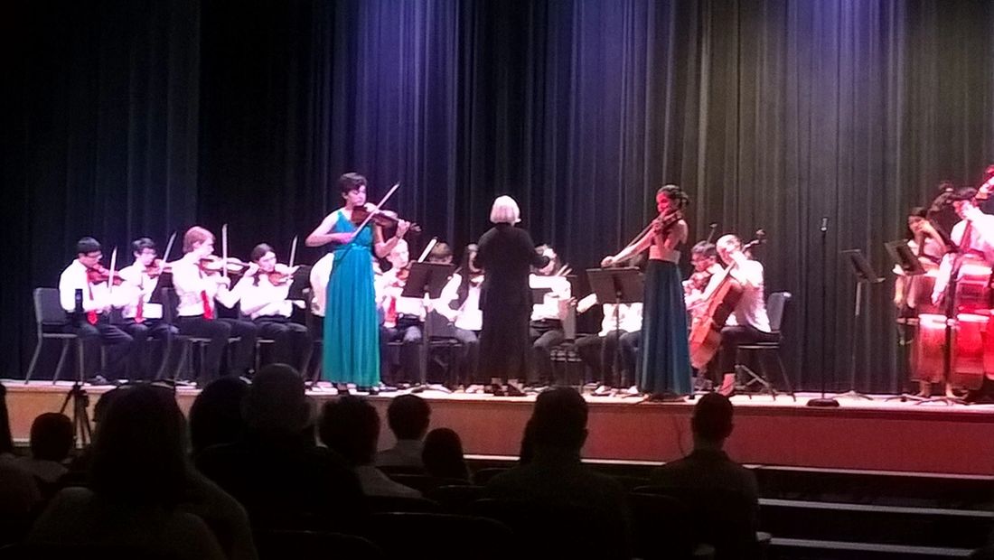 Bach Concerto for Two Violins in D minor