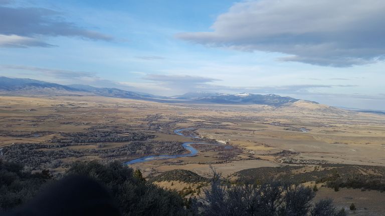 View from one of the many MT Web towers.