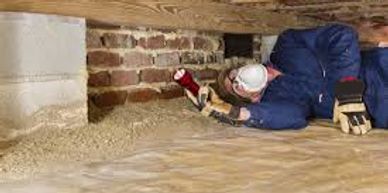 Crawlspace inspections, wood destroying organism inspections