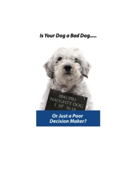 reactive dog being held accountable