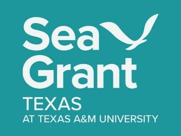 Logo of Sea Grant Texas at Texas A&M University with a bird design.