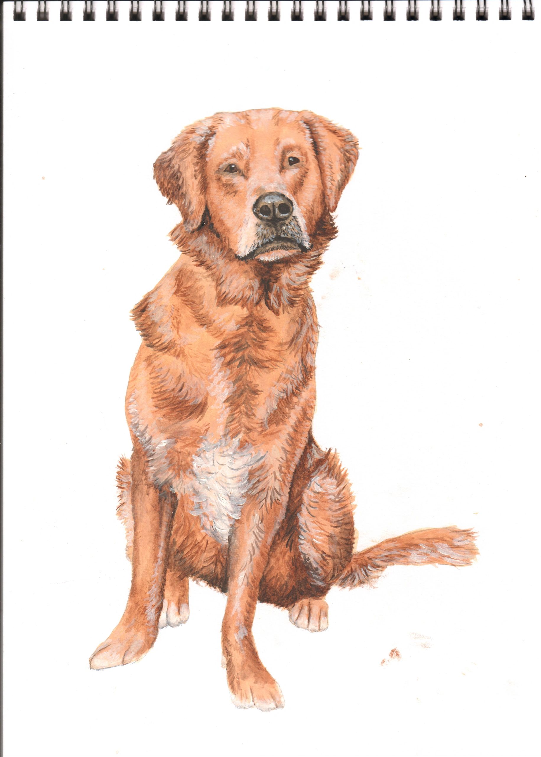 live event artist
pet caricatures
pet portraits
animal portraits