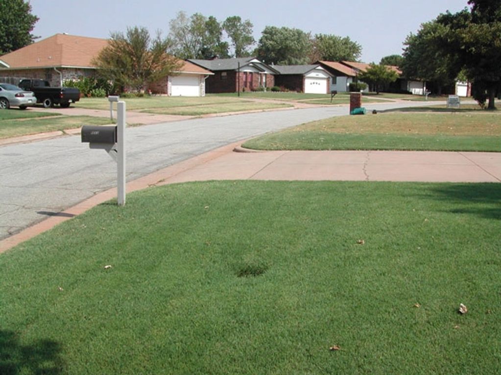 Notice the difference between the yard at the bottom and the one at the top.