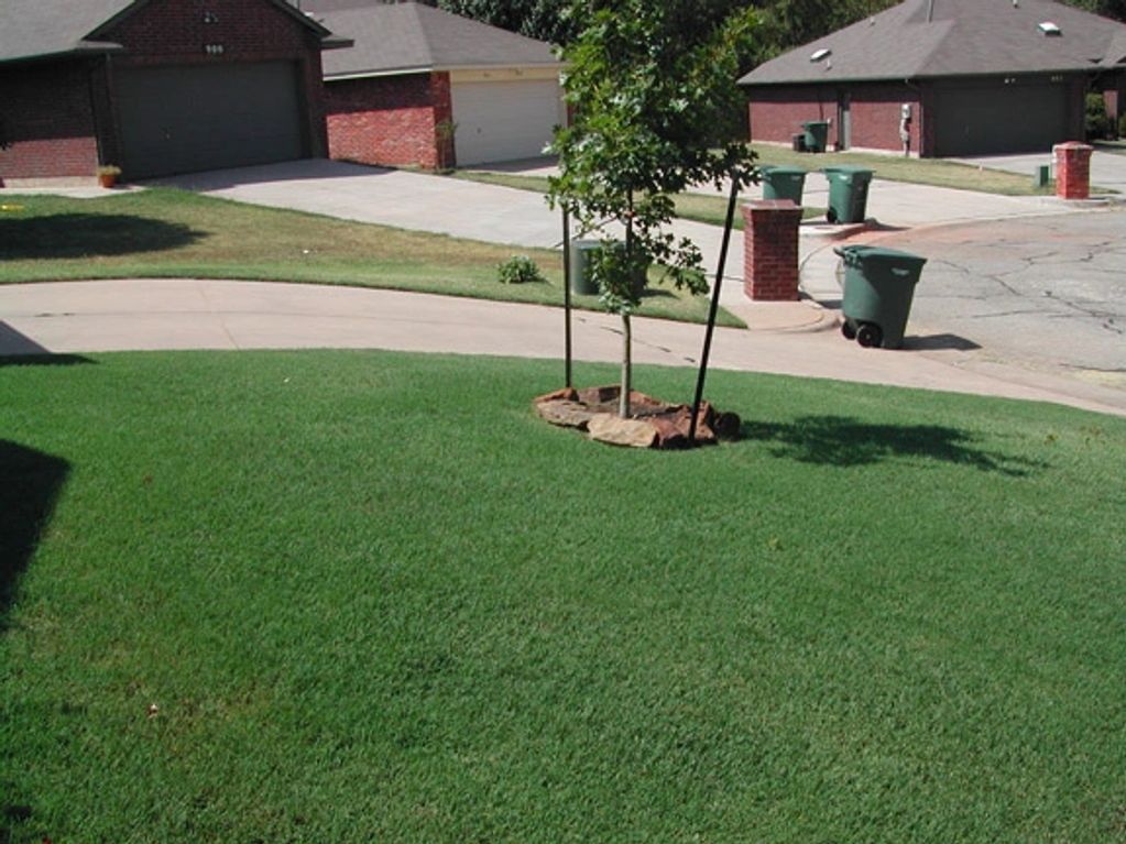 A nice green, thick lawn...the neighbors have to be envious!