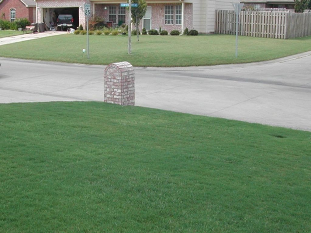 Notice the difference between the yard at the bottom and the one across the street.