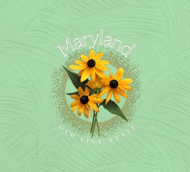 Exclusive Maryland Graphic Designs For Tumblers and Much More