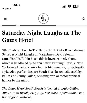 Comedy night at The Gates Hotel with Liz Rubin and featured comedians on Valentine's Day.