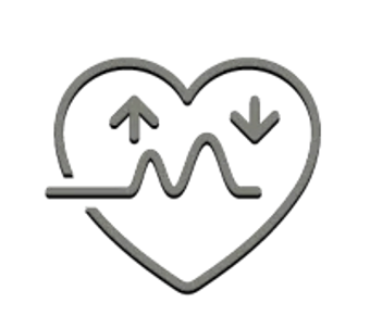 increase circulation throughout the body